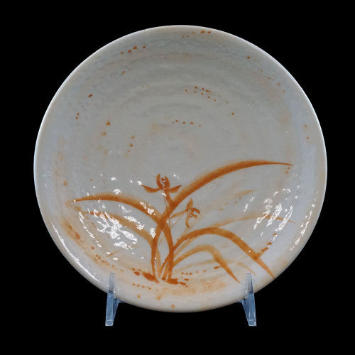 Gold Orchid Plate 210mm - Pack of 12